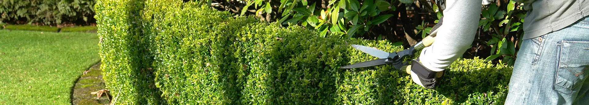 Entretien d'espaces verts dans l'Oise