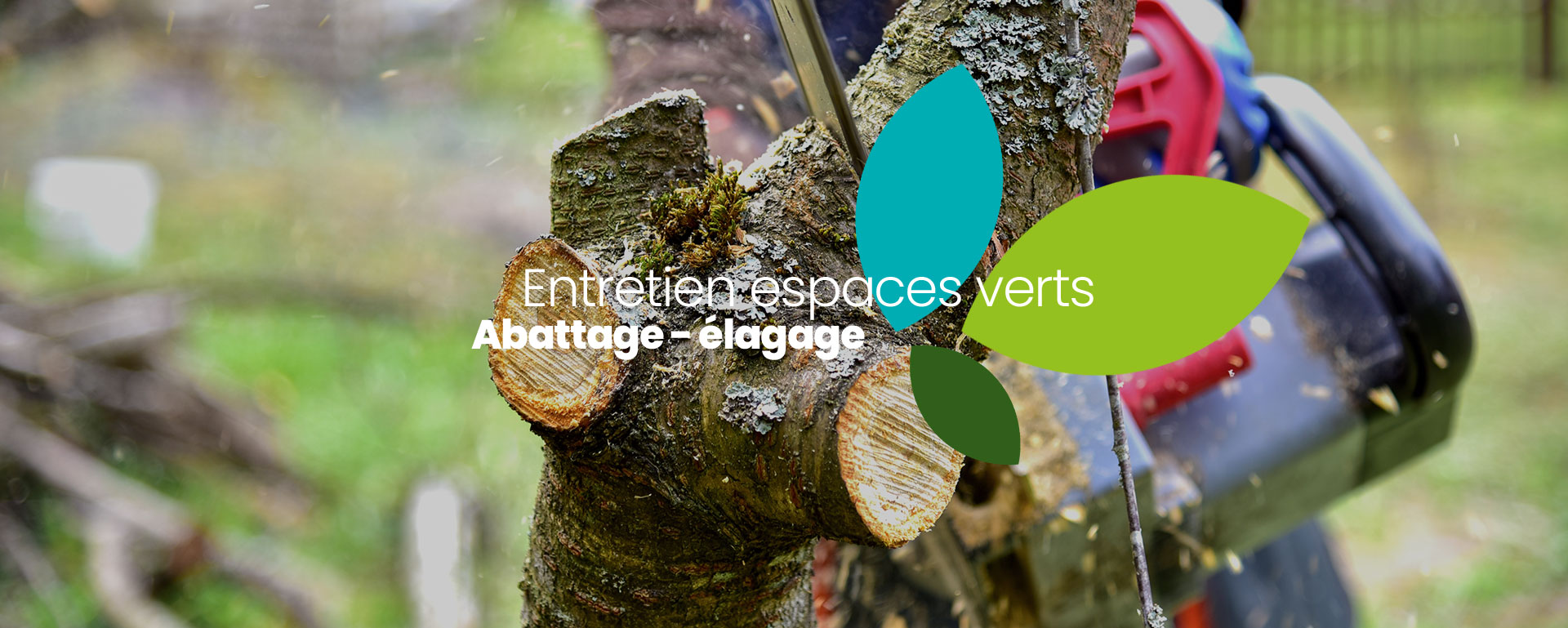 Paysagiste qui abat un arbre
